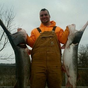 Meet your Posher, Harley